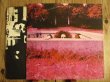 画像3: Frank Zappa / Hot Rats (3)