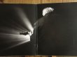 画像2: Bill Frisell / When You Wish Upon A Star (2)