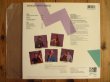 画像2: David Grisman Quintet Featuring Svend Asmussen / Svingin' With Svend (2)