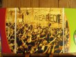 画像2: Jimi Hendrix / Live At Woodstock (2)