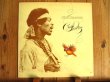 画像1: Jimi Hendrix / Crash Landing (1)