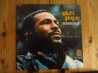 画像1: Marvin Gaye / What's Going On  (1)