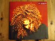 画像1: Janet Jackson / The Velvet Rope (1)