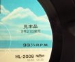 画像4: 鈴木義之 with Neil Larsen & Buzzy Feiten / I'm in Love = アイム・イン・ラヴ ~ 愛のとりこ (4)