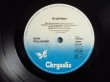 画像3: Rory Gallagher / Blueprint (3)