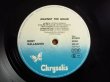 画像3: Rory Gallagher / Against The Grain (3)