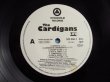 画像3: The Cardigans / Life (3)
