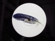 画像4: Tedeschi Trucks Band / Let Me Get By (4)