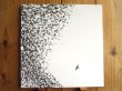 画像1: Wilco / Sky Blue Sky (1)