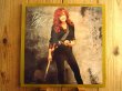 画像1: Bonnie Raitt / Nick Of Time (1)