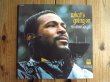画像1: Marvin Gaye / What's Going On  (1)