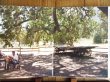 画像2: JJ Cale & Eric Clapton / The Road To Escondido (2)