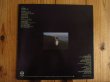 画像3: Linda Ronstadt / Hasten Down The Wind (3)