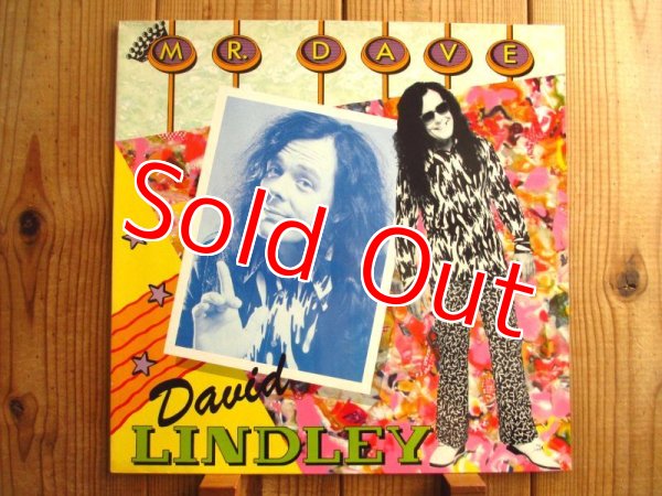 画像1: David Lindley / Mr. Dave (1)