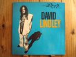 画像1: David Lindley / El Rayo-X (1)