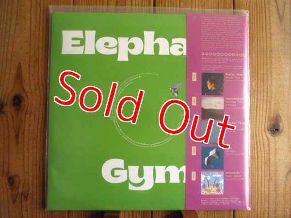 画像2: 世界的人気の台湾出身ポストロックバンド2022年作がアナログ盤で入荷！■Elephant Gym / Dreams (2)