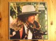 画像1: Bob Dylan / Desire (1)
