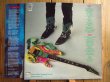 画像2: Steve Vai / Passion And Warfare (2)