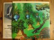 画像3: Little Feat / Sailin' Shoes (3)