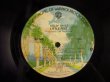 画像4: Little Feat / Sailin' Shoes (4)