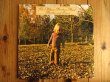 画像1: The Allman Brothers Band / Brothers And Sisters (1)