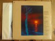 画像2: Lani Hall / Sun Down Lady (2)