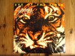 画像1: Survivor / Eye Of The Tiger (1)