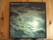画像1: Peter Green / In The Skies (1)