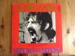 画像1: Frank Zappa / Chunga's Revenge (1)