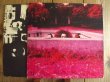 画像3: Frank Zappa / Hot Rats (3)