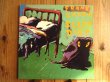 画像1: Frank Zappa / Sleep Dirt (1)