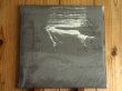 画像1: 未開封！ビルエバンスとジムホールの歴史的デュオ名盤がアナログ盤で入荷！■Bill Evans &  Jim Hall / Undercurrent (1)