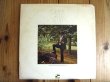 画像1: Grant Green / Alive! (1)