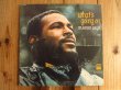 画像1: Marvin Gaye / What's Going On  (1)
