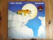 画像1: Tygers Of Pan Tang / Spellbound (1)