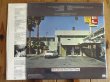 画像2: AC/DC / Dirty Deeds Done Dirt Cheap (2)