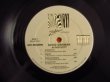 画像3: David Grisman / Acousticity (3)