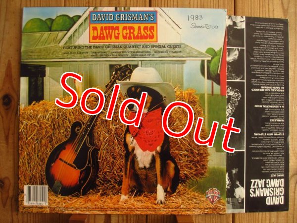 画像2: David Grisman / Dawg Jazz - Dawg Grass (2)