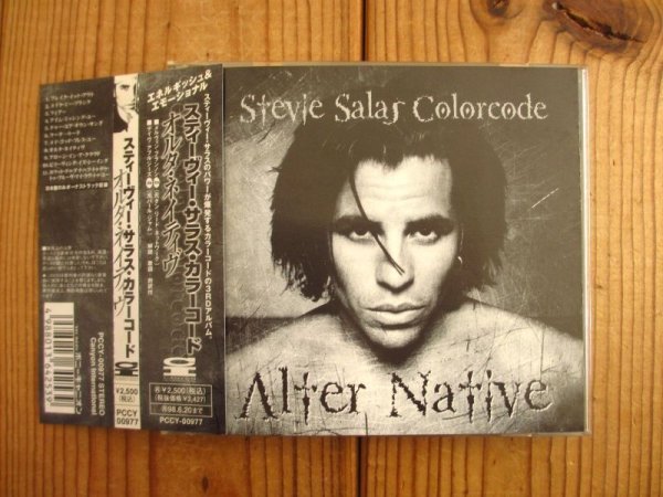 画像1: Stevie Salas Colorcode / Alter Native (1)