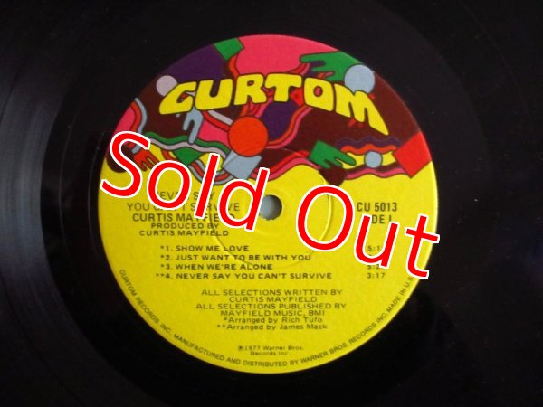 画像3: Curtis Mayfield / Never Say You Can't Survive (3)