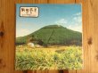 画像1: 奥田民生 / 股旅 (1)