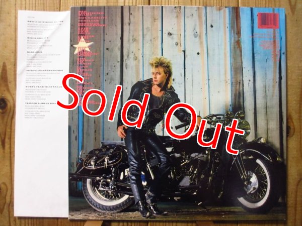 画像2: Brian Setzer / Live Nude Guitars (2)