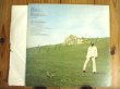 画像3: Curtis Mayfield / Roots (3)