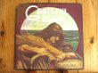 画像1: Grateful Dead / Wake Of The Flood (1)