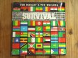 画像1: Bob Marley & The Wailers / Survival (1)
