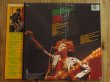 画像2: Bob Marley & The Wailers / Natty Dread (2)