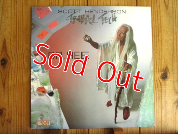画像1: ★Scott Henderson And Tribal Tech / Dr. Hee (1)