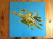 画像1: Steve Tibbetts / Big Map Idea (1)