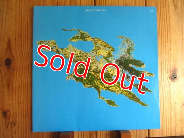 画像1: Steve Tibbetts / Big Map Idea (1)