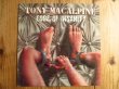 画像1: Tony MacAlpine / Edge Of Insanity (1)